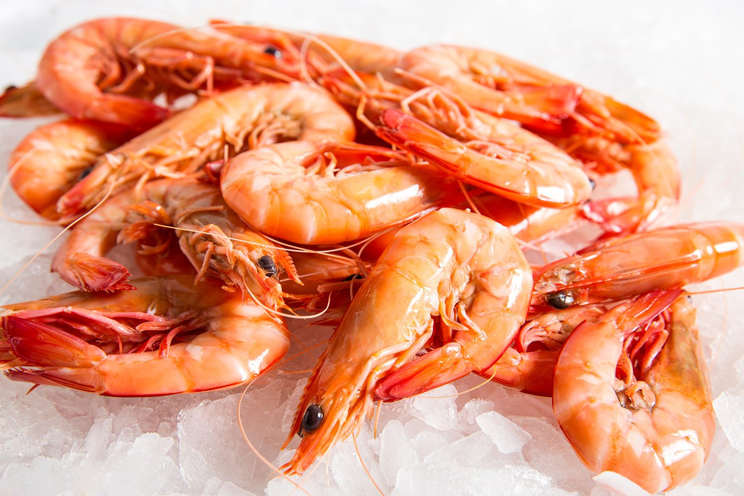 Những bộ phận hải sản có thể chứa độc tố bạn không nên ăn